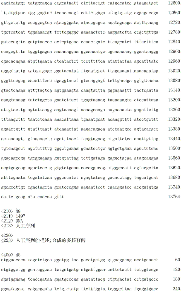 Figure IDA00003076741800371