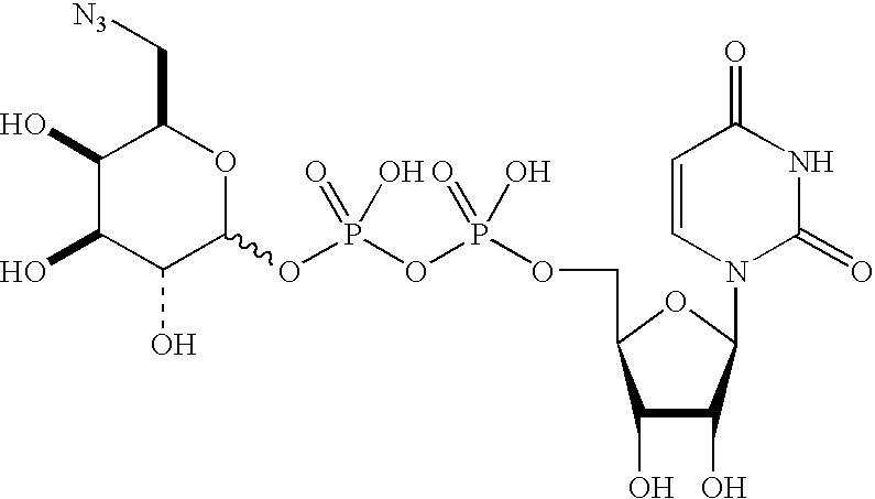 Figure US20080108557A1-20080508-C00119