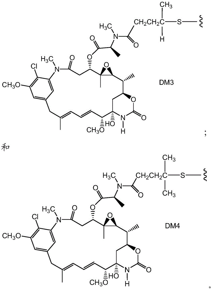 Figure FDA0003098573150000061