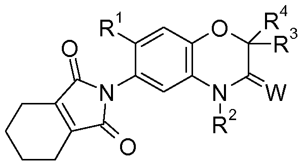 Figure imgf000002_0001