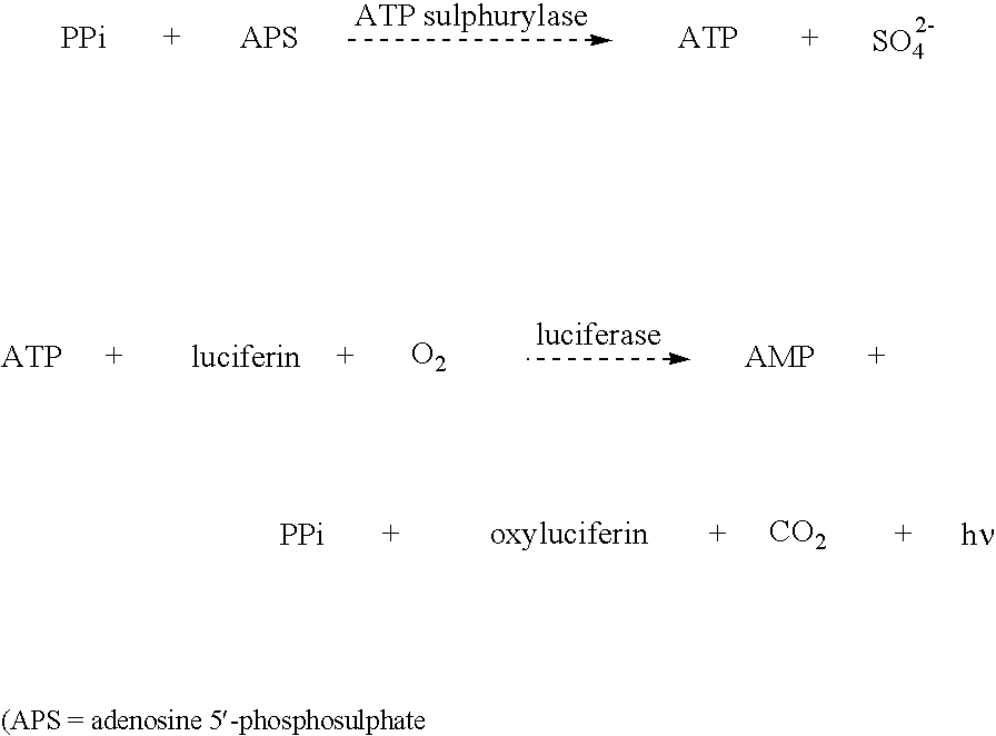 Figure US20050084851A1-20050421-C00001