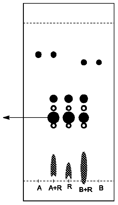 Figure imgf000072_0002