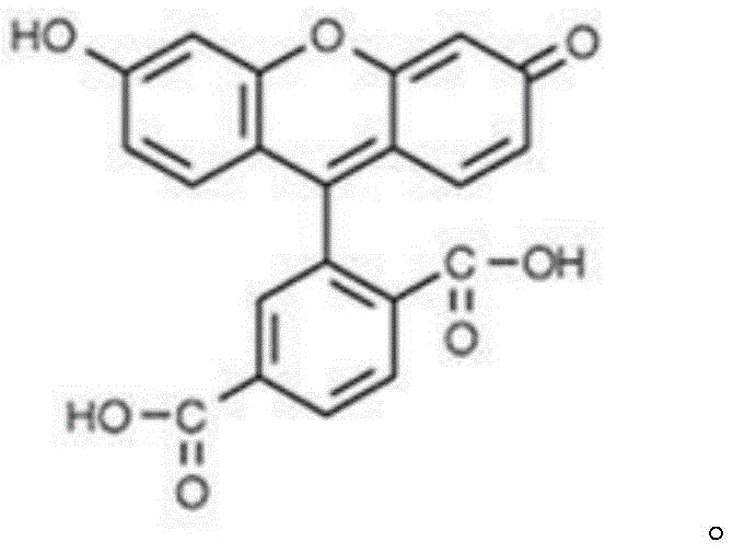 Figure FDA0002319631810000011