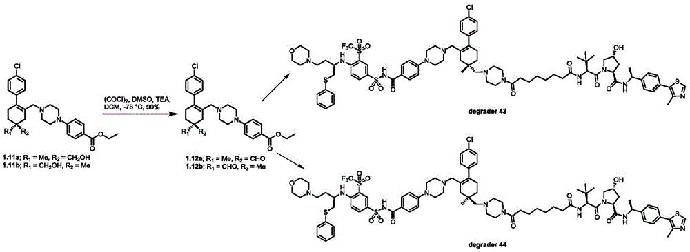 Figure BDA0003293294510001491