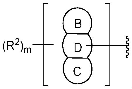 Figure imgf000005_0001