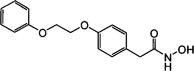 Figure G2007800515415D01251