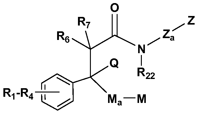 Figure imgf000005_0001