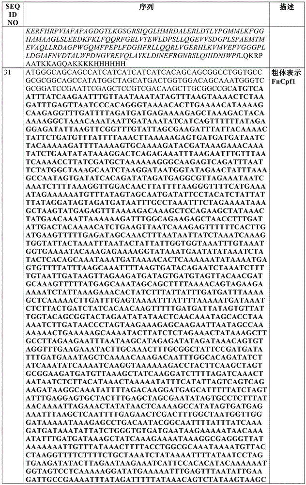 Figure BDA0002550795540001191