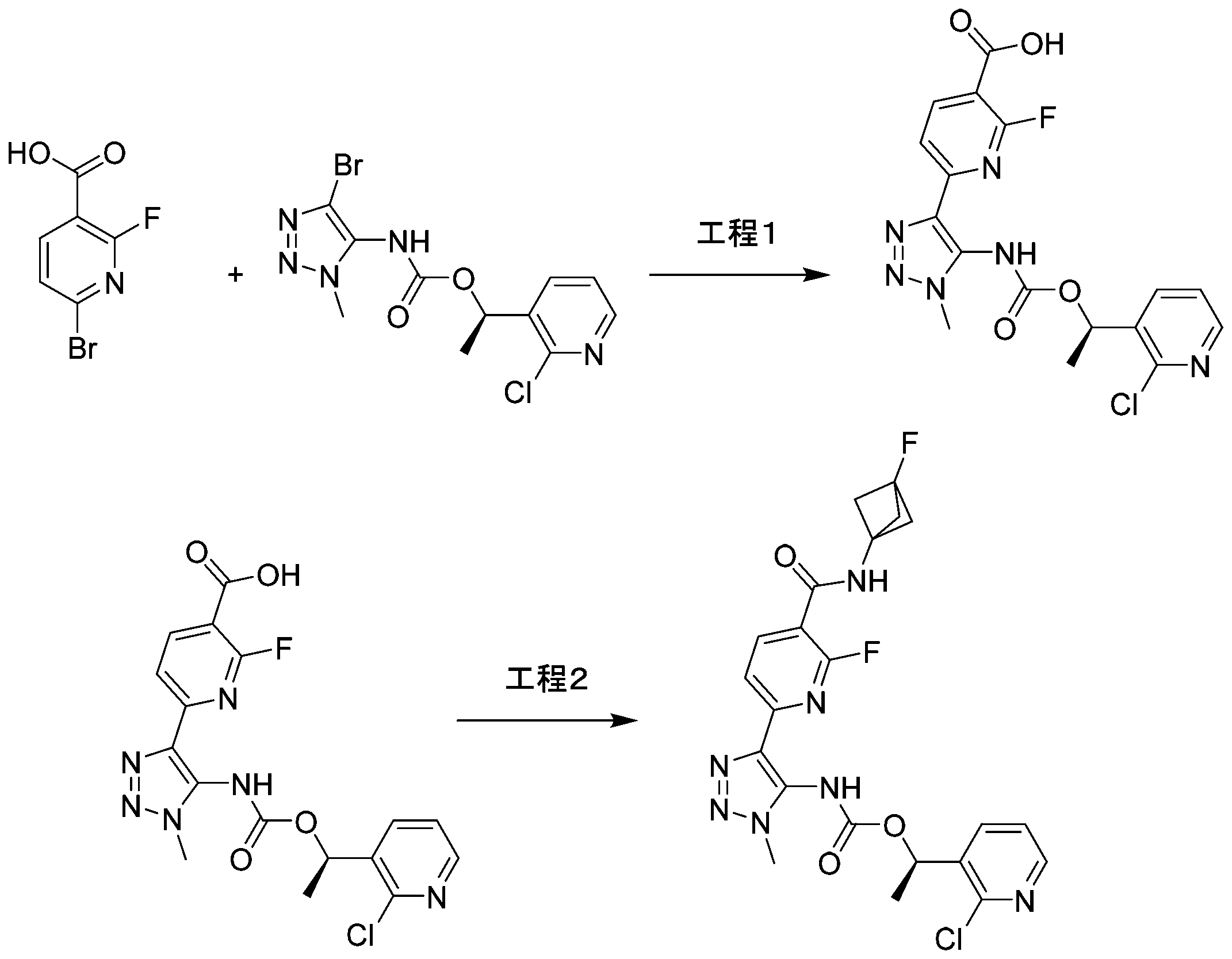 Figure 0007691522000068