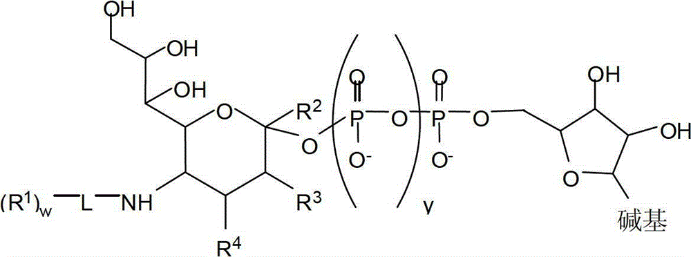 Figure BDA00001882625901061