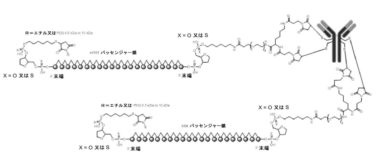 Figure 2023011614000025