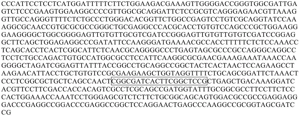 Figure GDA0003601660750000131