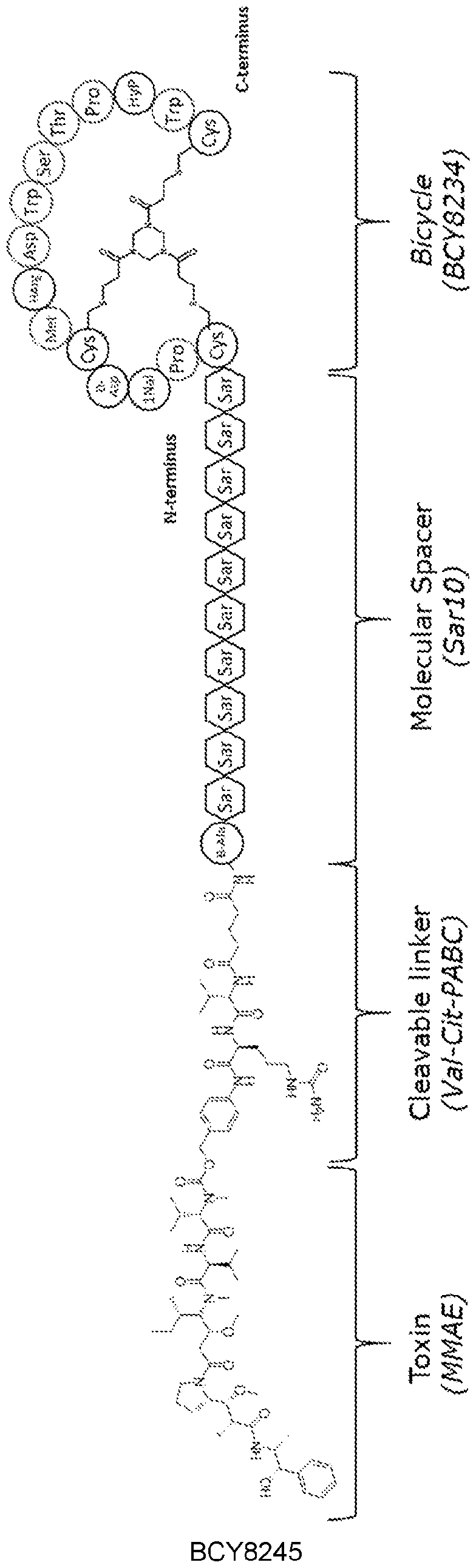Figure imgf000055_0001