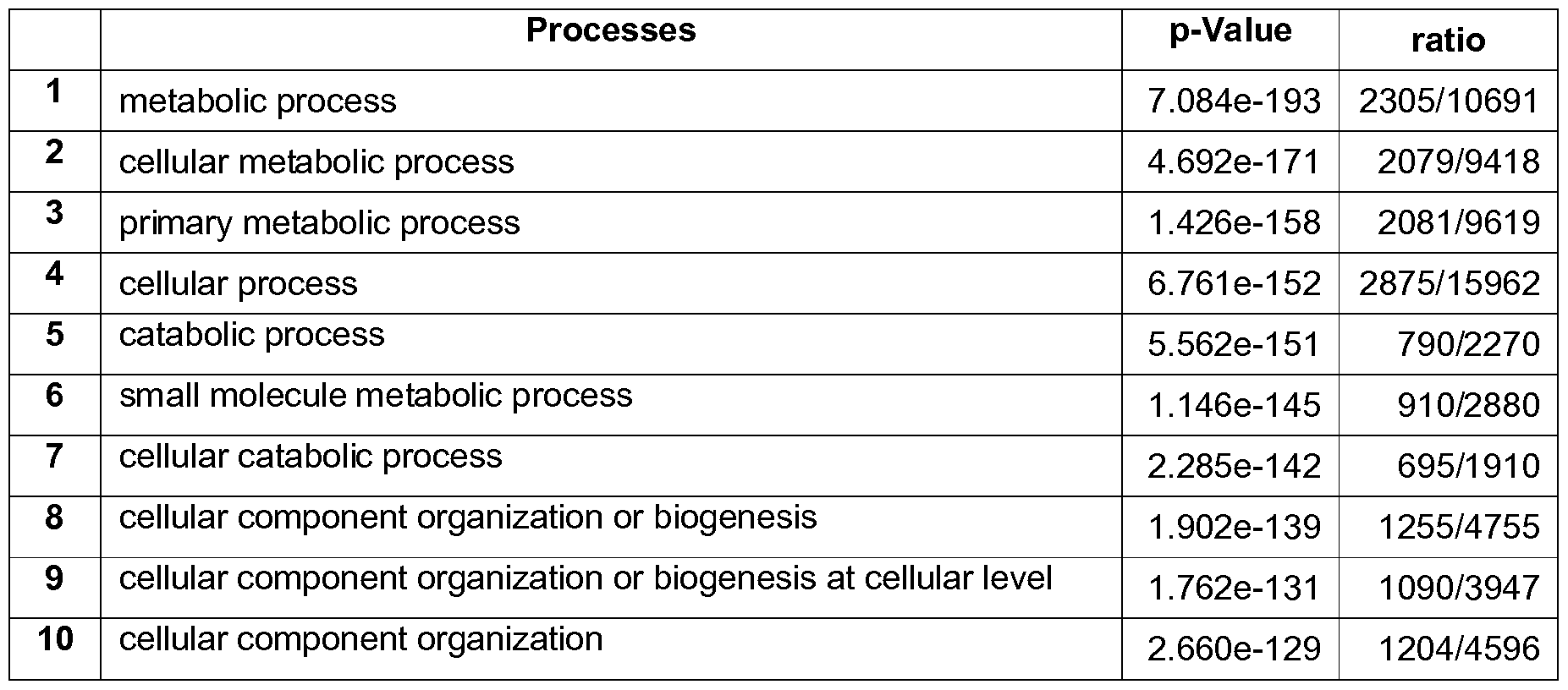 Figure imgf000028_0002