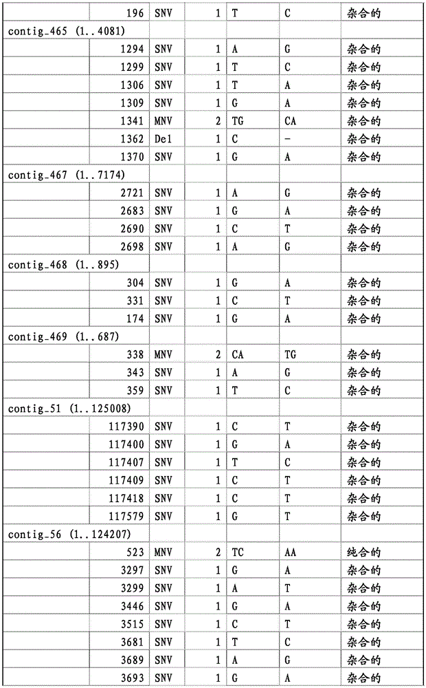 Figure BDA0001338279350000091