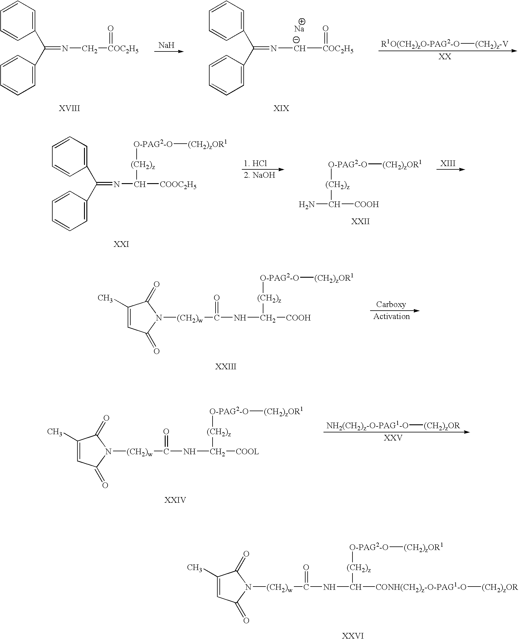 Figure US20070141021A1-20070621-C00020