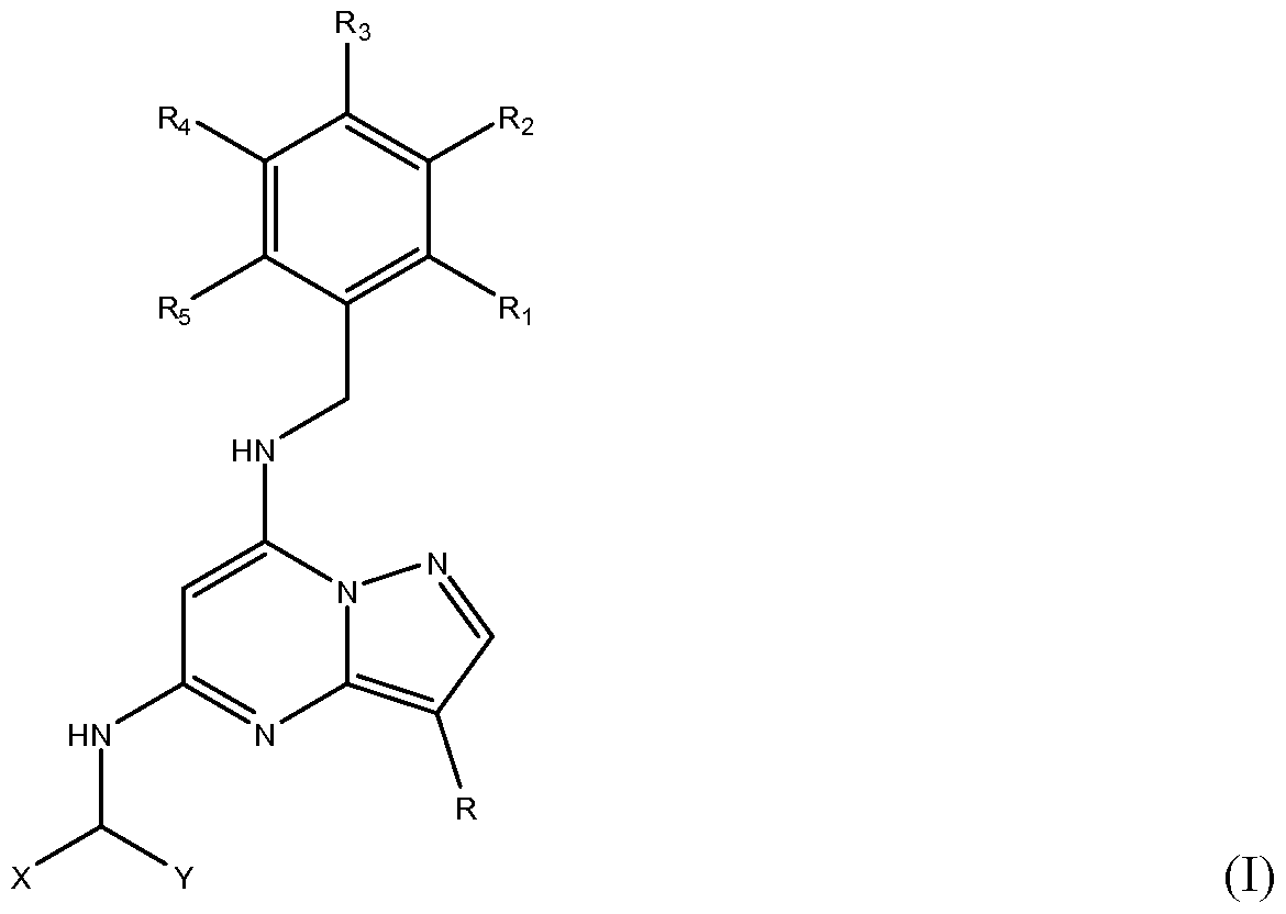 Figure imgf000006_0001