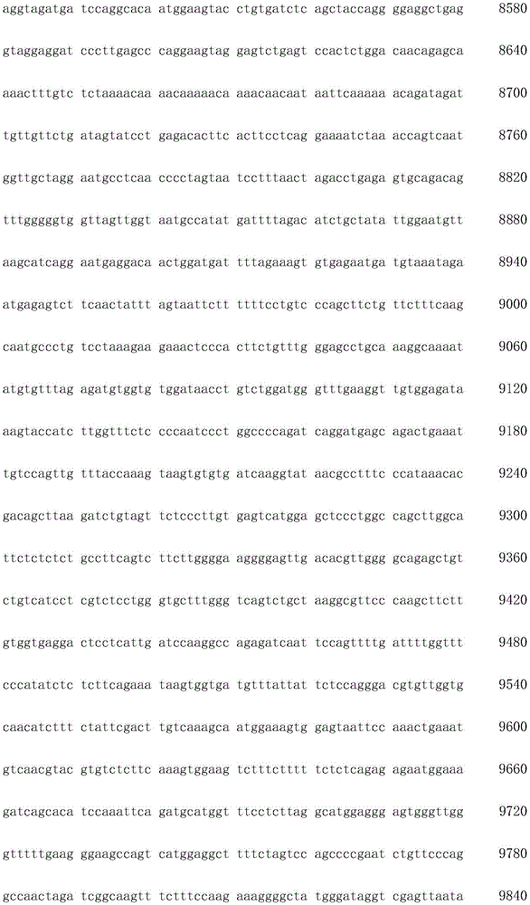 Figure IDA0003936212790000891