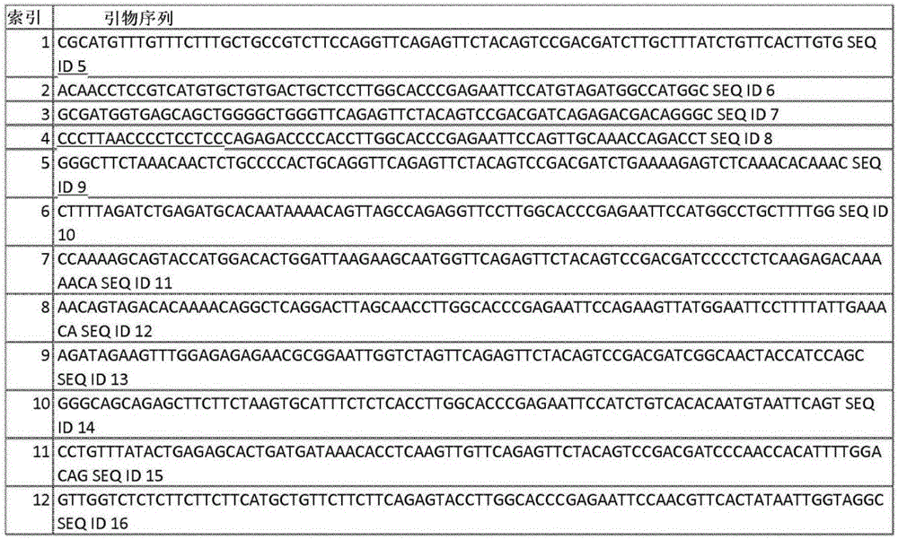 Figure BDA0002357574680000621