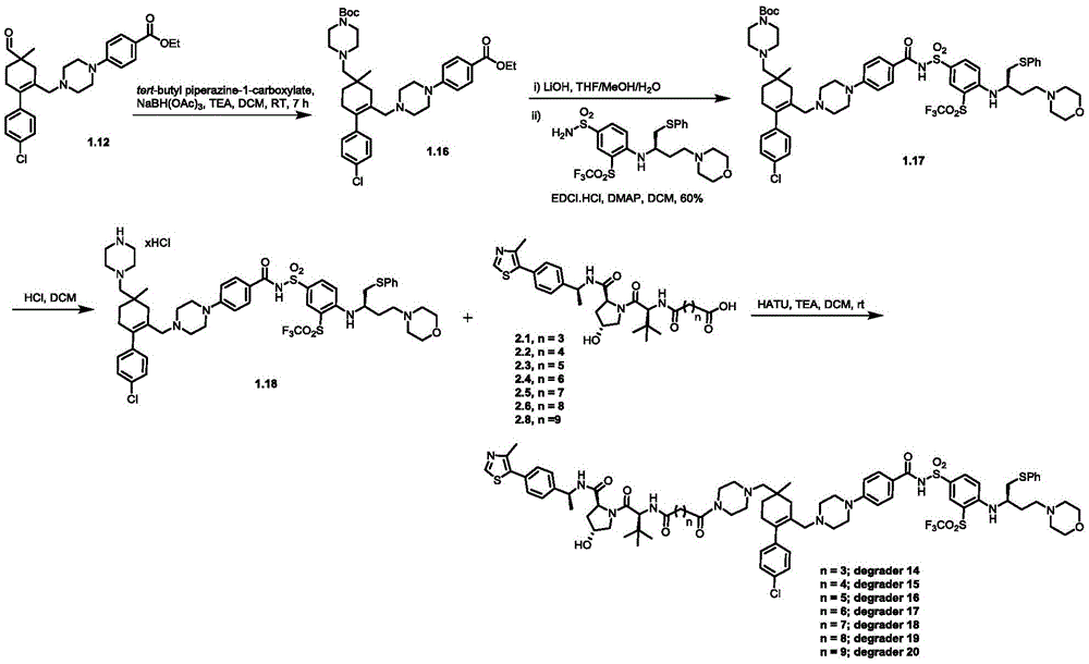 Figure BDA0003293294510001151