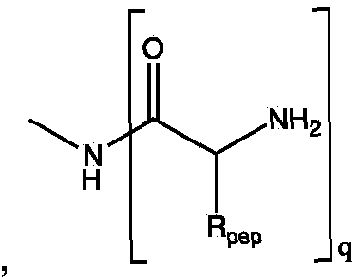 Figure imgf000014_0001