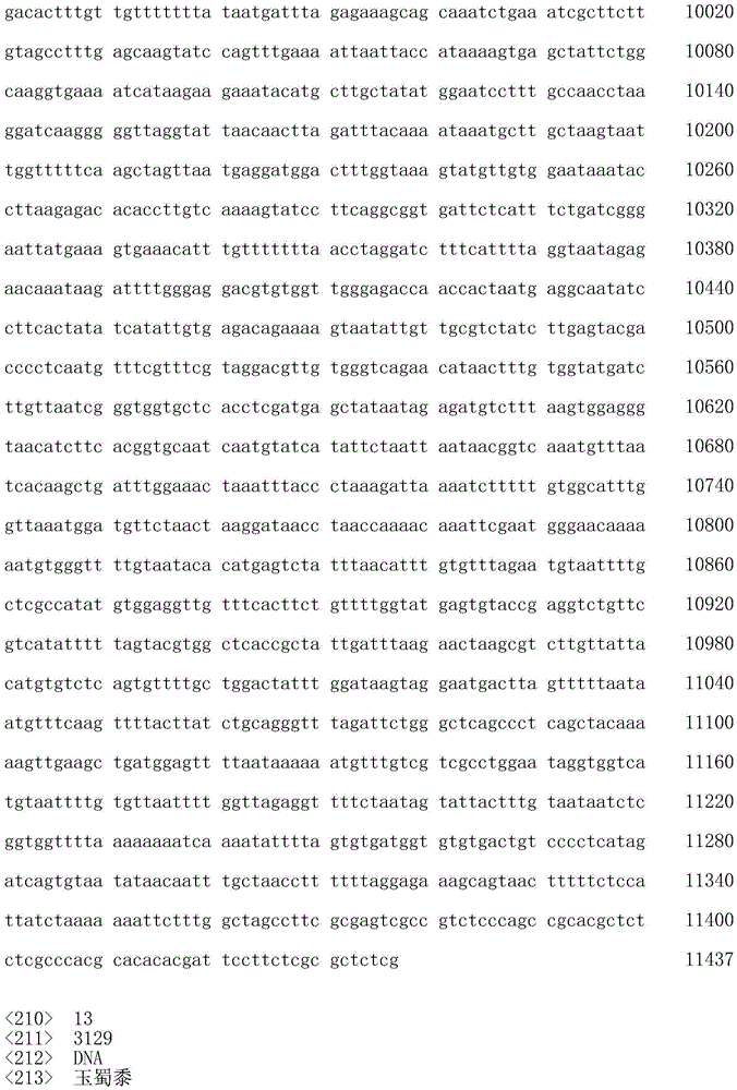 Figure IDA0002818407340000111