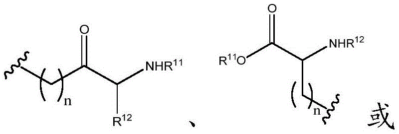 Figure BDA0003357934970000232