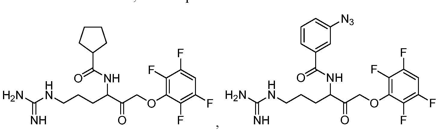 Figure imgf000022_0001
