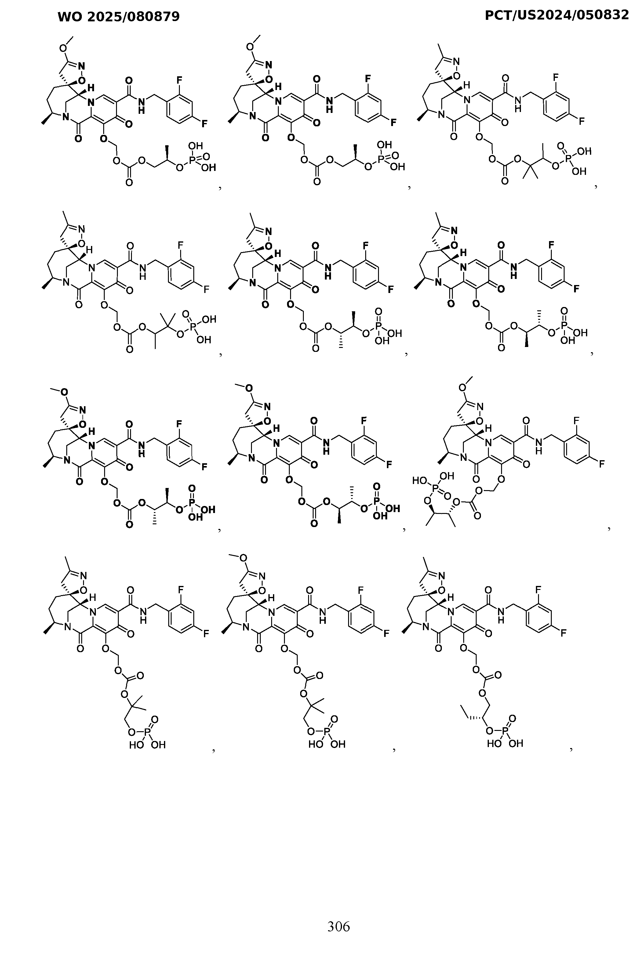 Figure imgf000307_0001