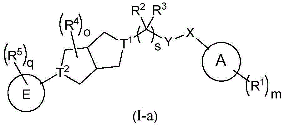 Figure FDA0003718507520000031