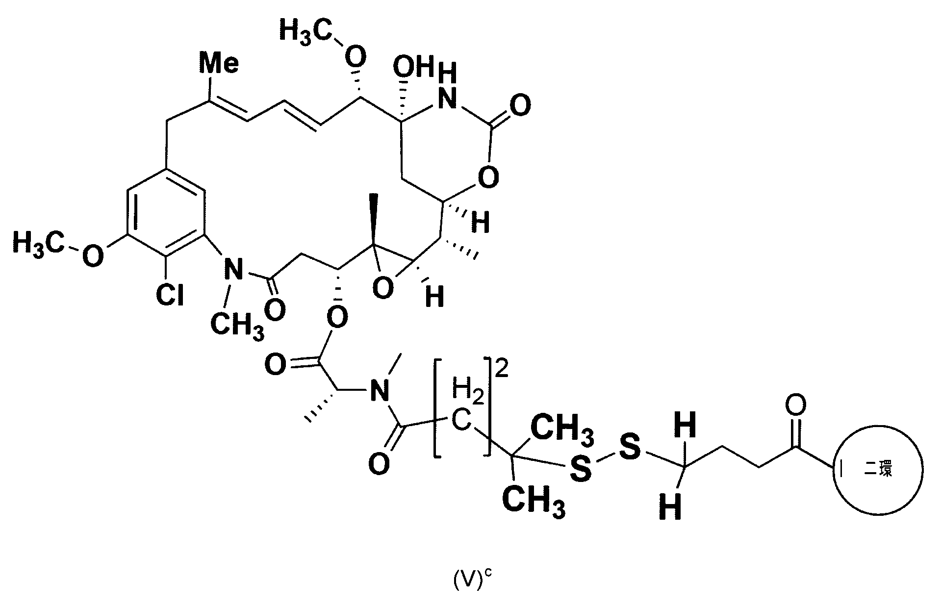 Figure 0007116217000009