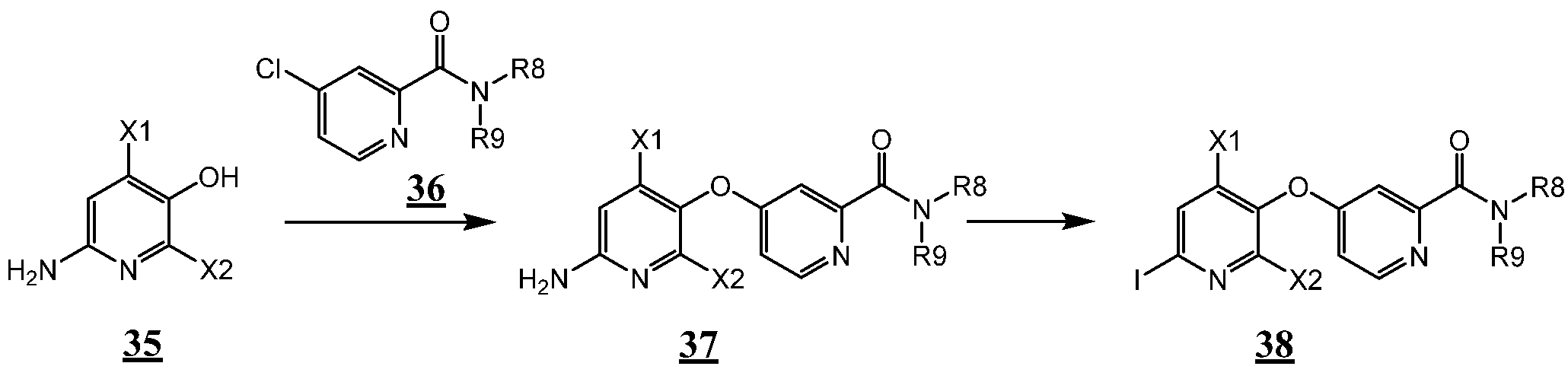 Figure 112015098985076-pct00023