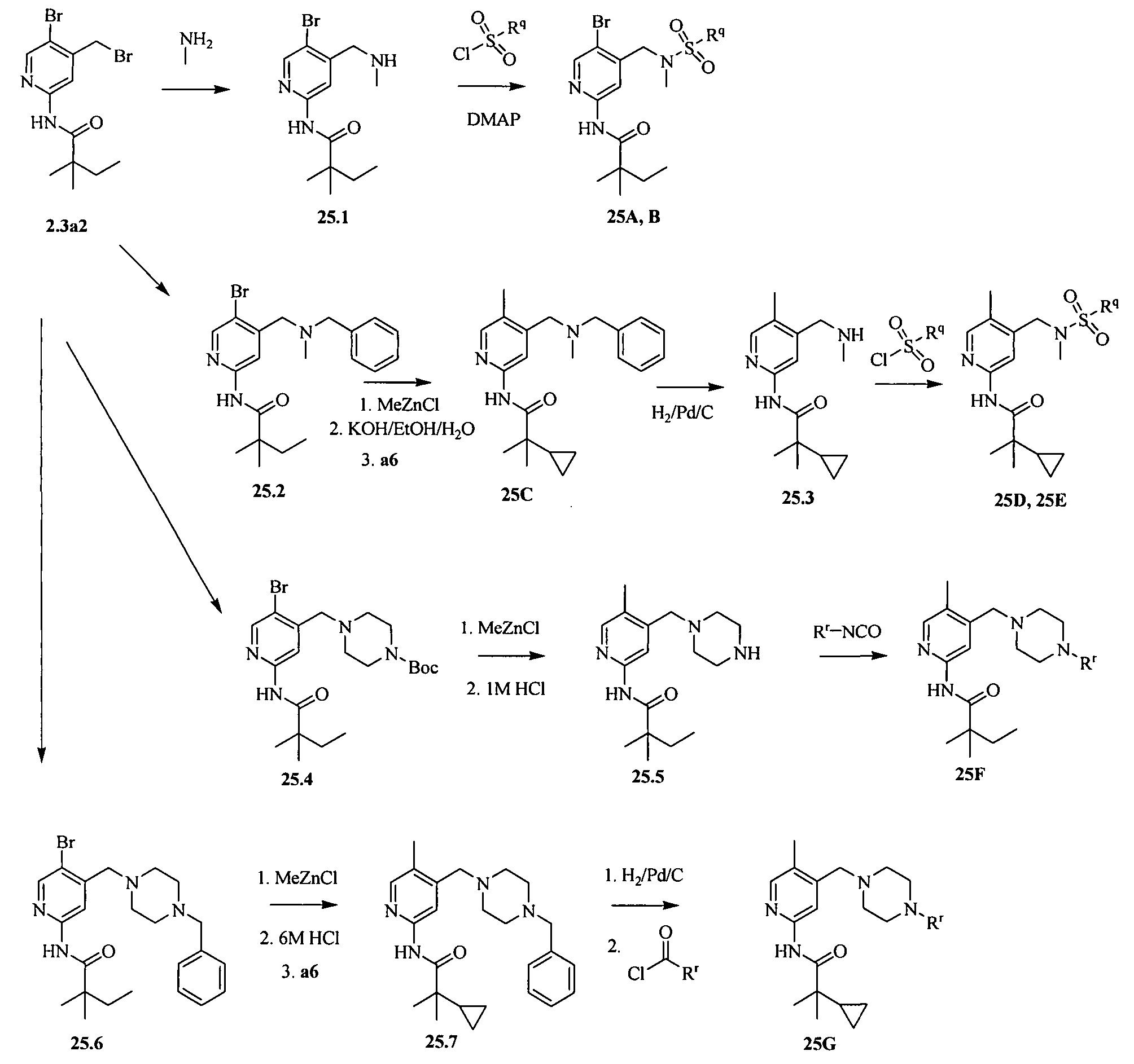 Figure imgf000080_0001