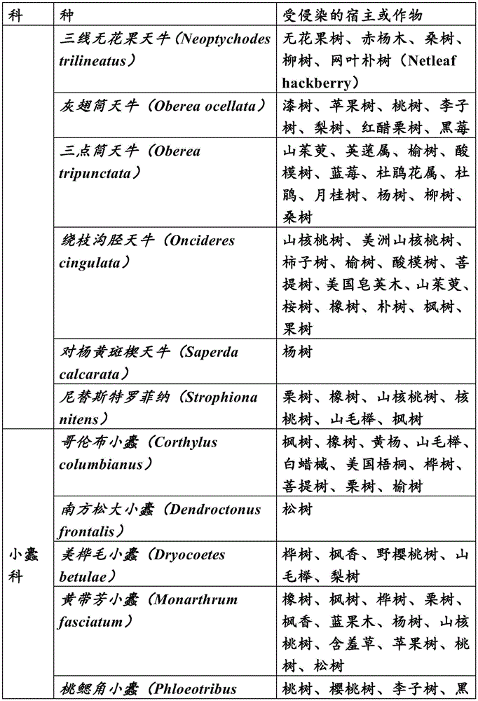 Figure BDA0004105356660001031