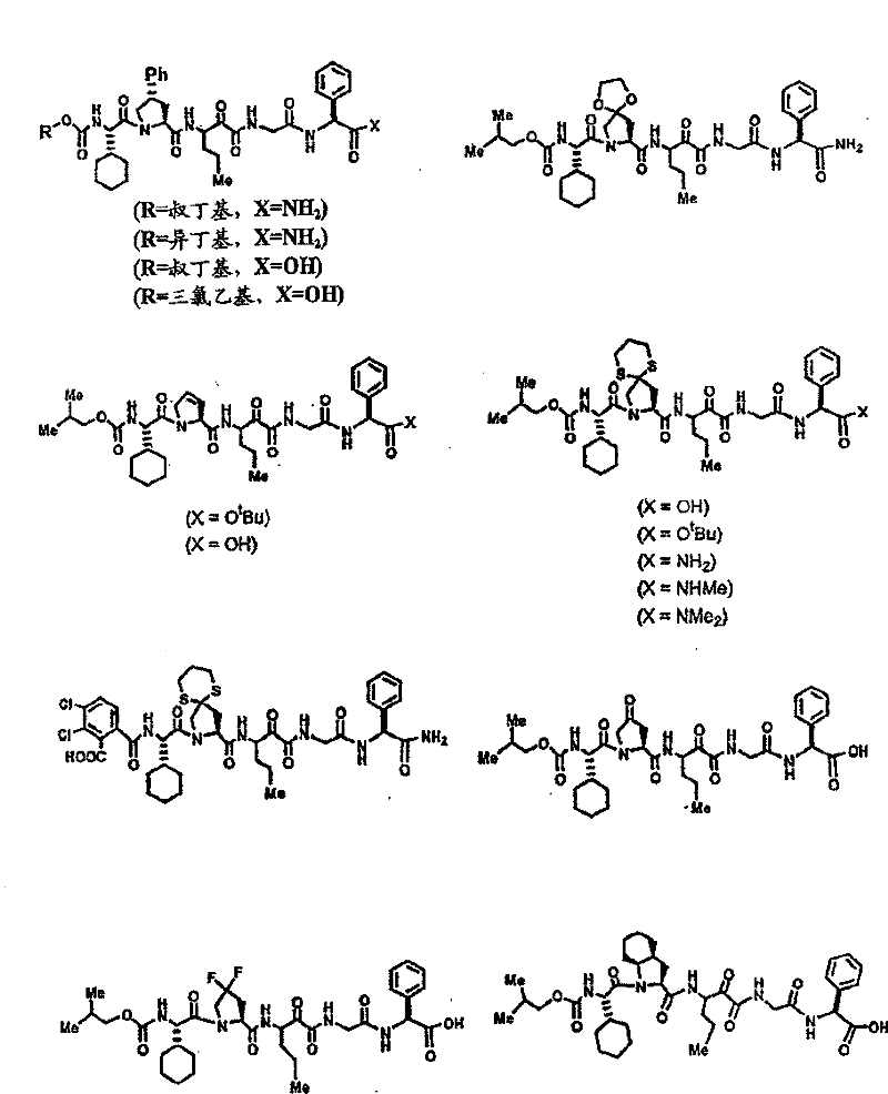 Figure BSA00000554725400511