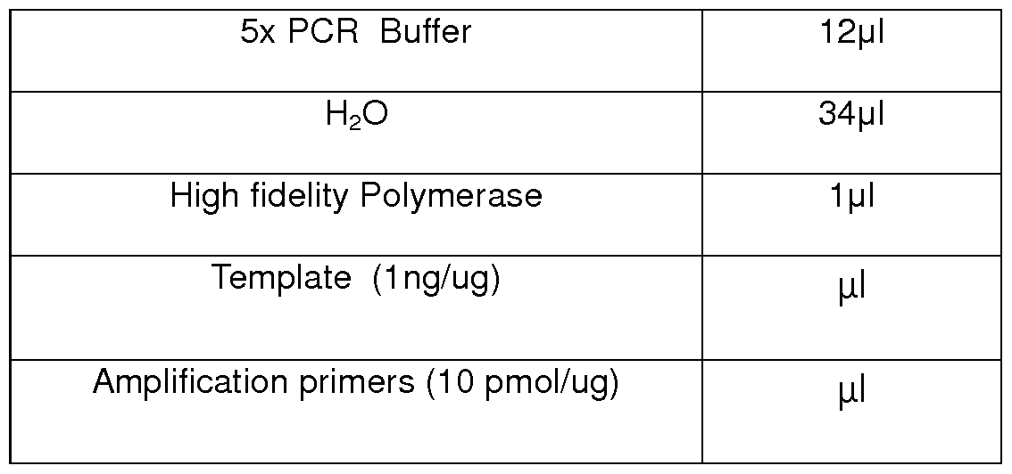 Figure imgf000019_0002