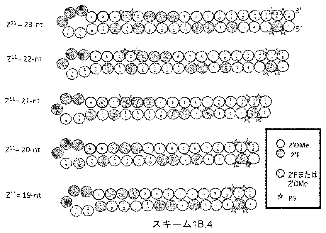 Figure 2025516680000069