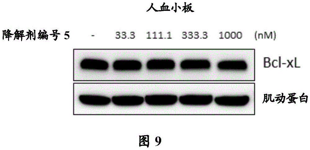 Figure BDA0003293294510002092