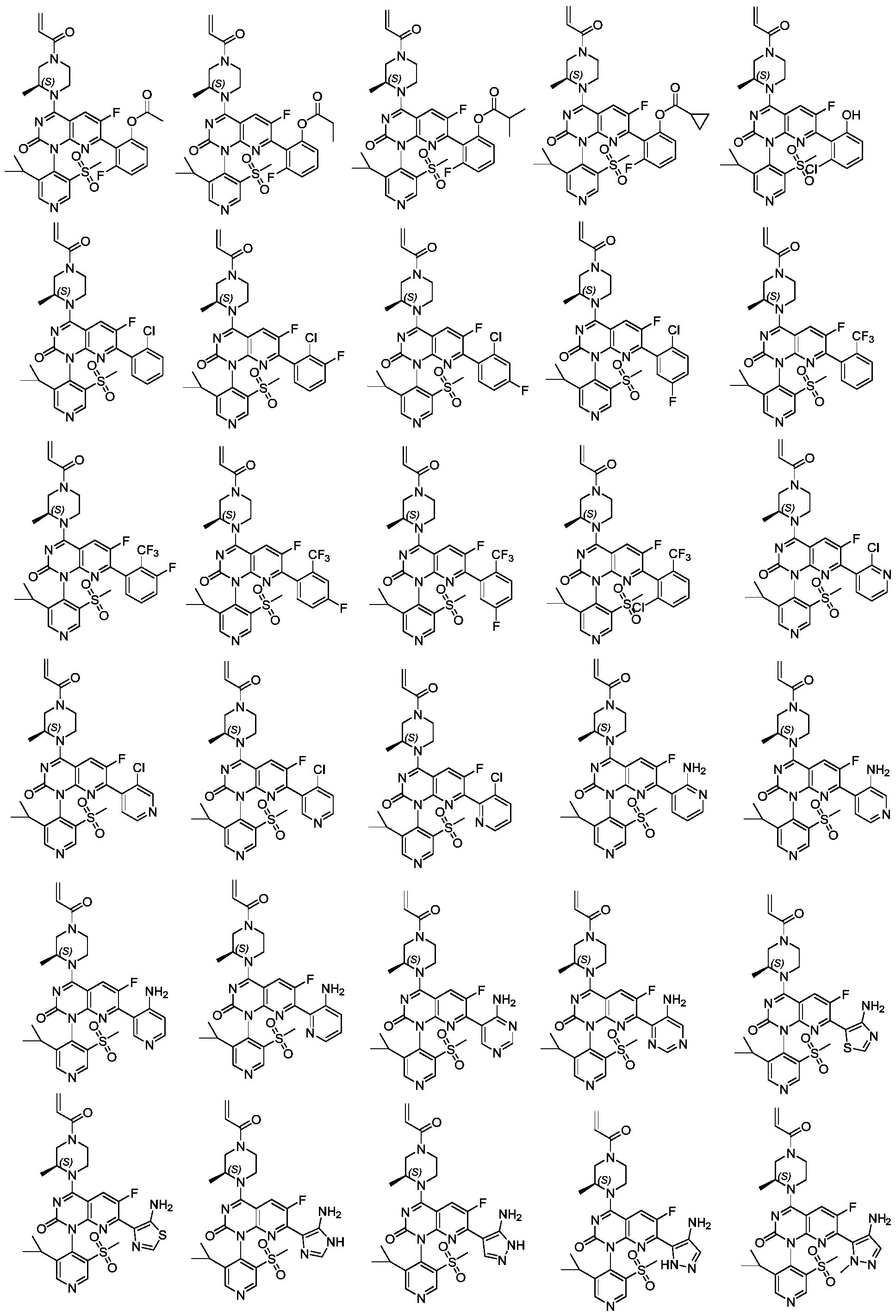 Figure PCTCN2021099875-appb-100056