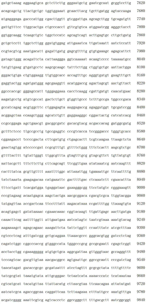 Figure IDA00001909815500181