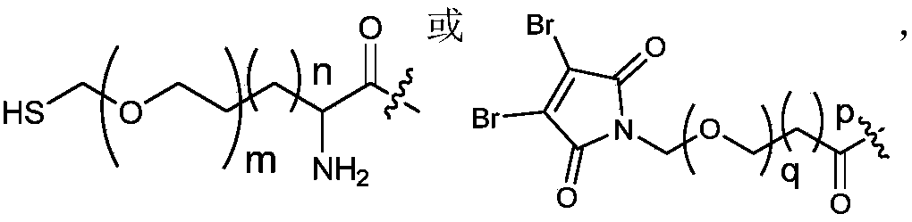 Figure PCTCN2020130589-appb-000001