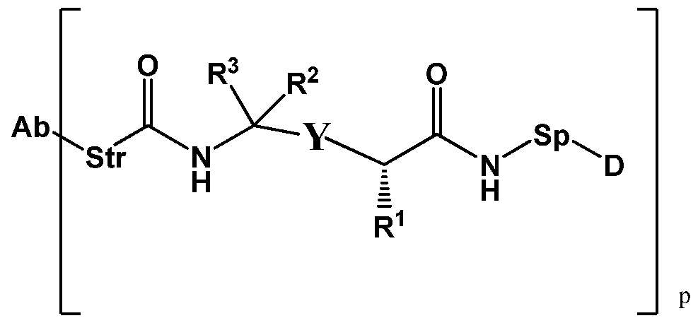 Figure imgf000315_0001