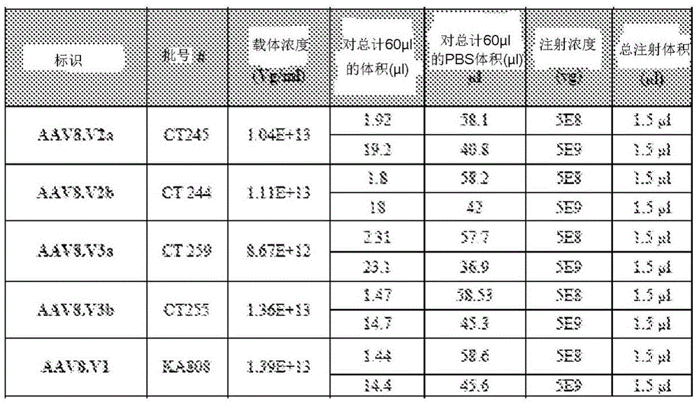 Figure BDA0001764338830000531