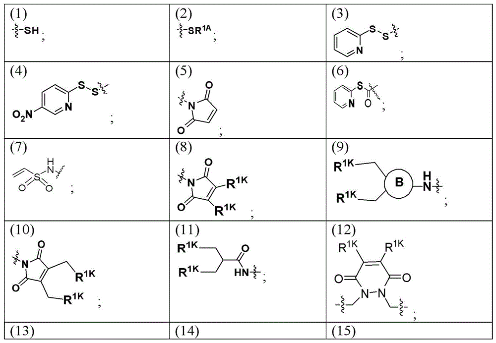 Figure BDA0003135424430000411