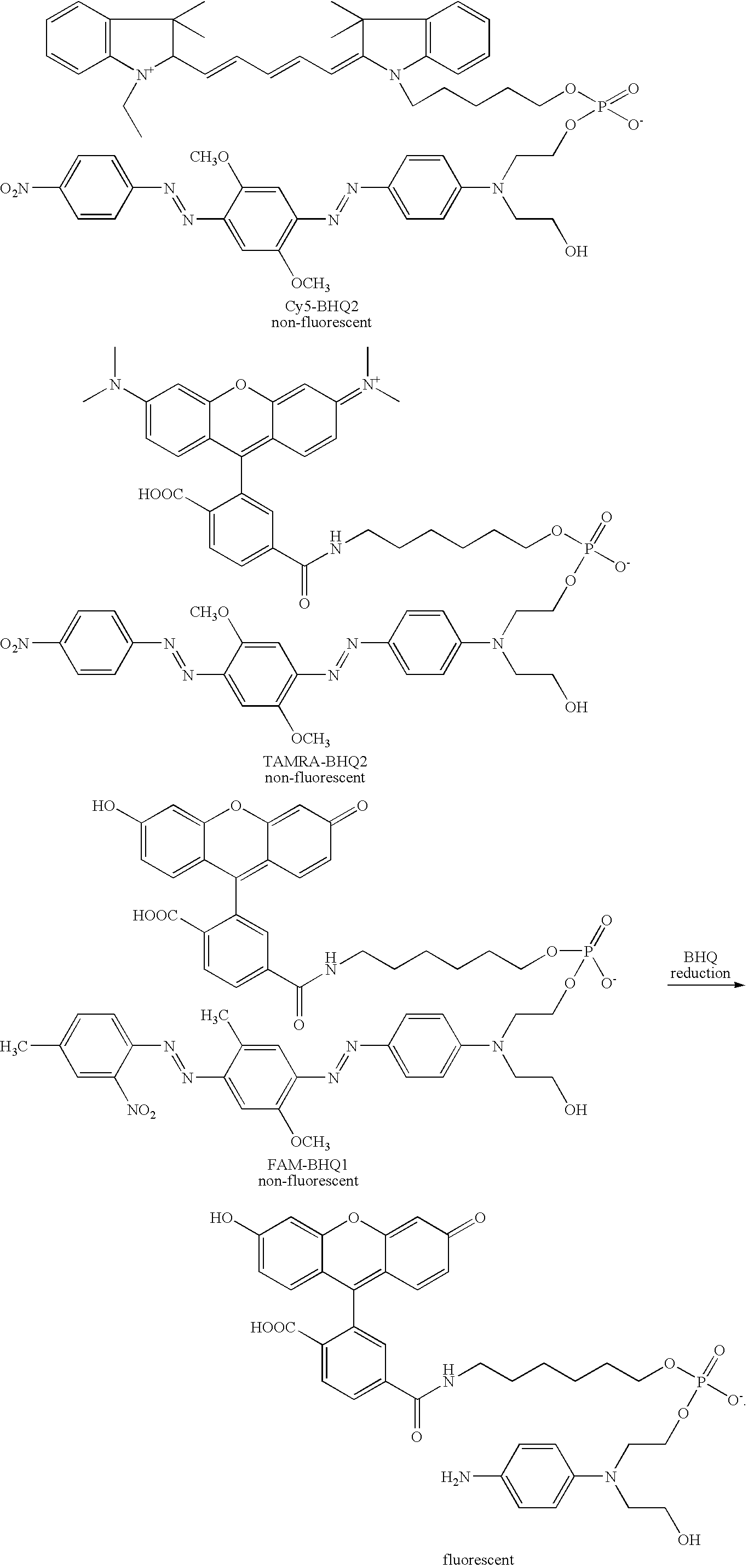 Figure US20060194218A1-20060831-C00001