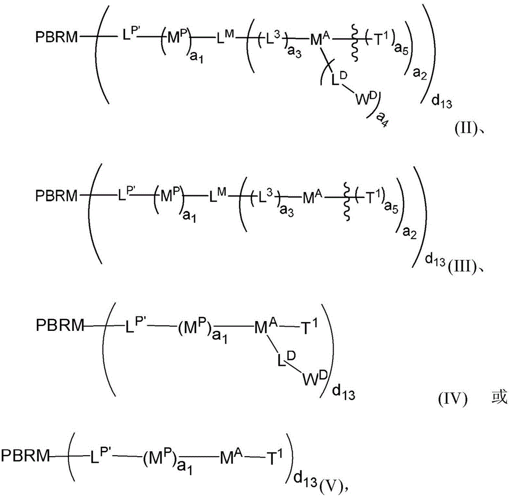 Figure BDA0003135424430000051