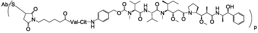 Figure BDA0003169464670000321