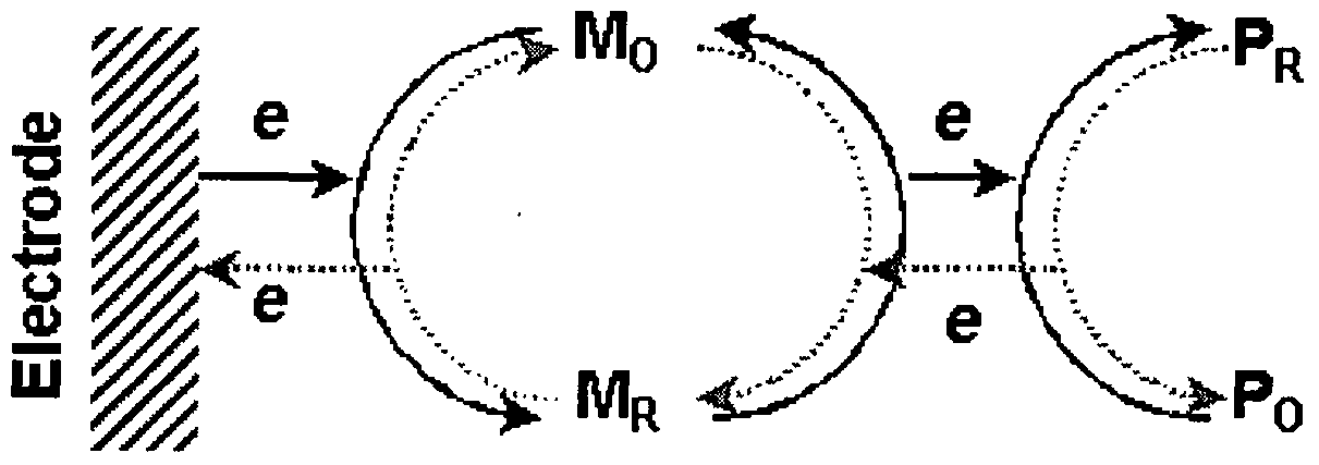 Figure imgf000029_0001