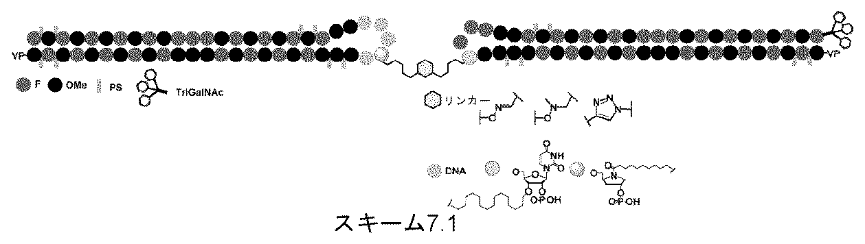Figure 2025516680000204