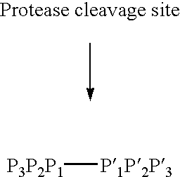 Figure US20050170442A1-20050804-C00001